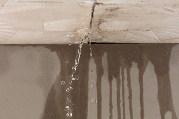 Professional Burst Pipe Cleanup technician working in Purdon, TX